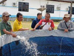 DPKP Gumas Miliki Tiga Ikan Komoditi Unggulan