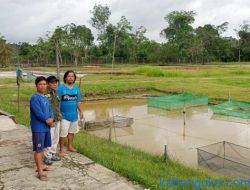 DPKP Mulai Persiapan Pergantian Indukan Ikan