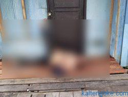 “Pendekar Mabuk” Terkapar dan Berdarah, Warga Mengira Sudah Tewas