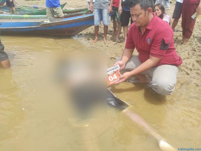 pergi cari ikan