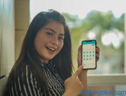 Promo Nyalakan Kemerdekaan, PLN Beri Diskon Tambah Daya Hanya Rp 170.845