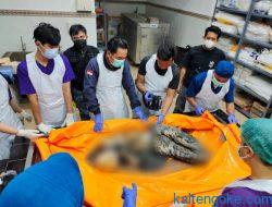 Polisi Identifikasi Mayat Mr X yang Mengapung di Sungai Kahayan
