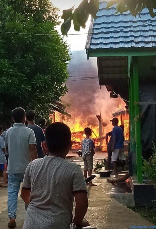 sarang burung walet