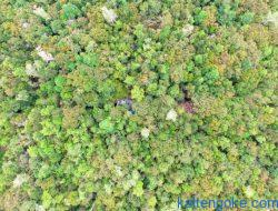 Puluhan Ribu Hektare Hutan Desa Direstorasi oleh Warga di Katingan