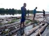 Polisi Sita 200 Kayu Log Ilegal di Sungai Mentaya