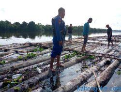 Polisi Sita 200 Kayu Log Ilegal di Sungai Mentaya