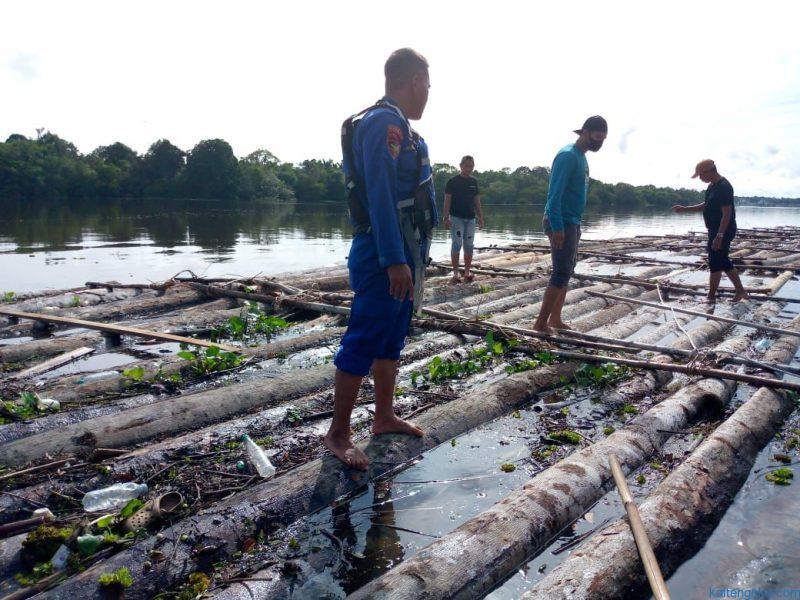 kayu log
