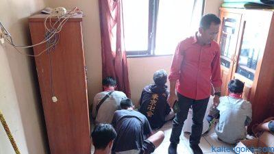 makan kucing