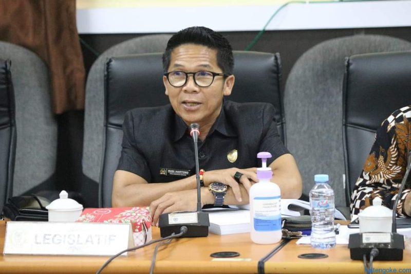 program desa