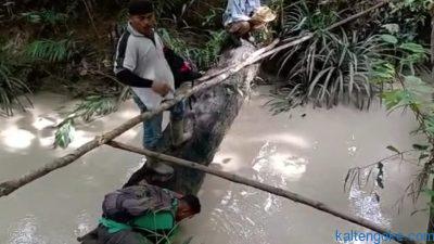 Aktivitas Tambang PT Pada Idi Cemarkan Sungai