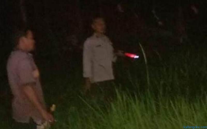 Pencuri Sarang Burung Walet