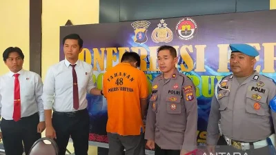 pns