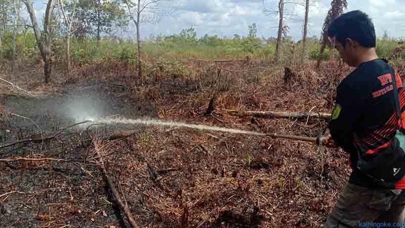 Waspada! Semak Belukar Mulai Terbakar
