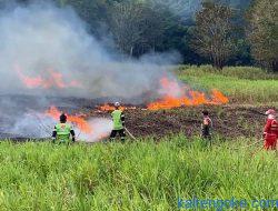 34 Kejadian Karhutla Bakar 23 Hektare Lahan
