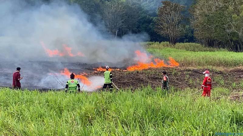 34 Kejadian Karhutla Bakar 23 Hektare Lahan