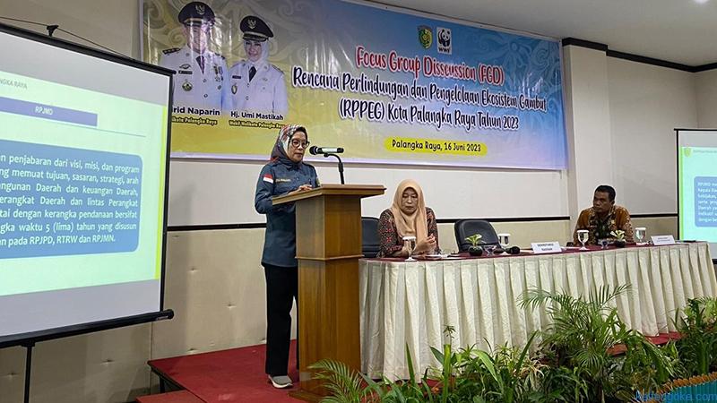 Jaga dan Rawat Ekosistem Gambut