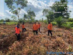 Peringatan Dini Karhutla Masyarakat Patut Waspada