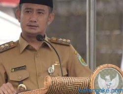 Solusi Kenaikan Harga Ayam Tunggu Petunjuk Kemendag