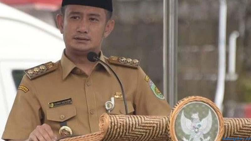 Solusi Kenaikan Harga Ayam Tunggu Petunjuk Kemendag
