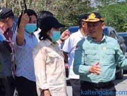 Bupati Cek Rekontruksi Jalan Pendukung Food Estate