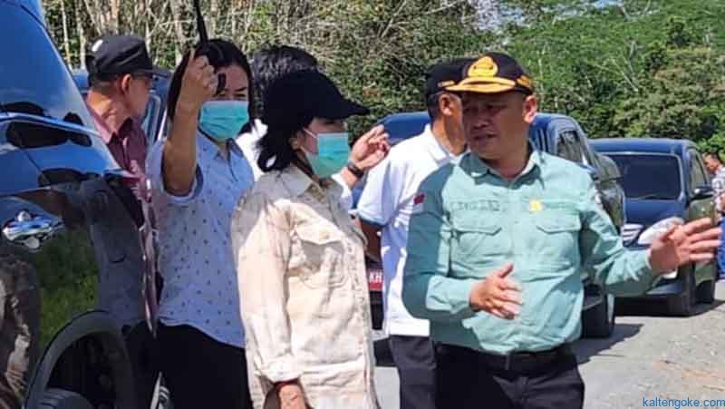 Bupati Cek Rekontruksi Jalan Pendukung Food Estate