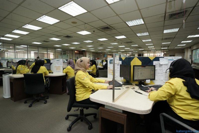 pln