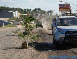 Jalan Rusak Warga Tanam Pohon Sawit