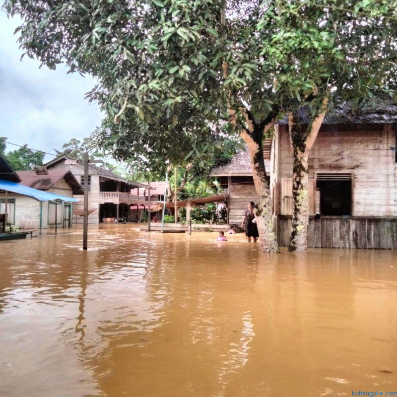 banjir