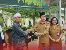 Pemkab Salurkan Sapi Kurban di 10 Kecamatan