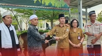 Pemkab Salurkan Sapi Kurban di 10 Kecamatan