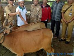 Cegah Stunting dengan Memberikan Protein Hewani