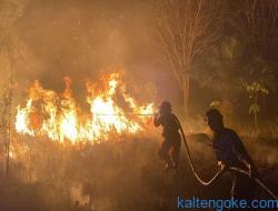 Karhutla Hampir Masuk ke Permukiman Warga