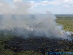 Lahan Terbakar di Palangka Raya Capai 61,33 Hektare