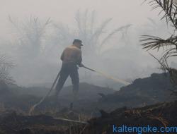 Karhutla Mengganas, Petugas Mulai Lemas