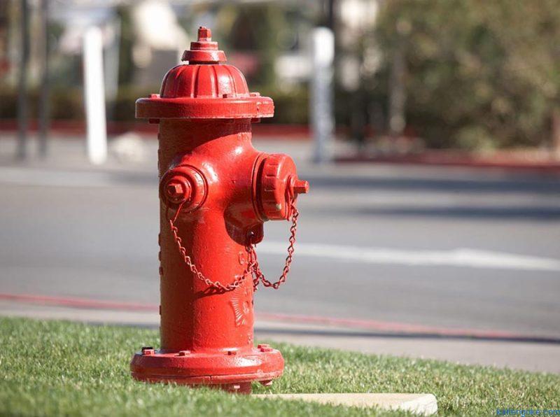 hydrant