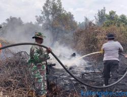Lahan Terbakar di Katimpun Permai