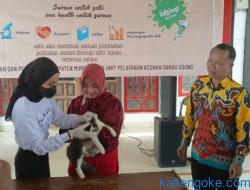 Peringati Hari Rabies Sedunia, Pemkab Gelar Vaksinasi Massal