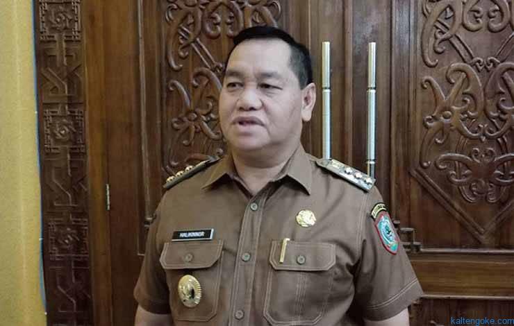 Optimis