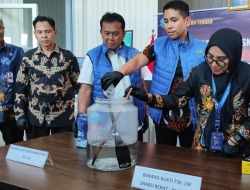 BNNP Kalteng Musnahkan 100,1 Gram Sabu