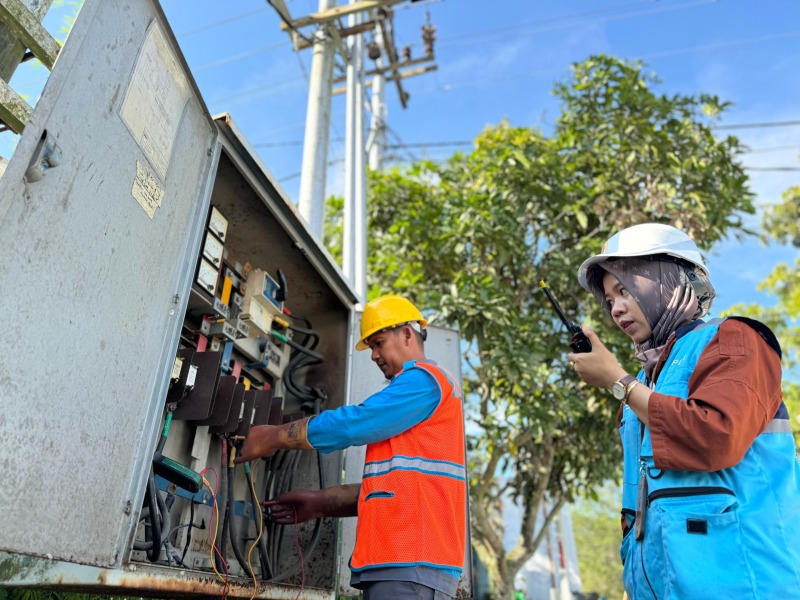 pln