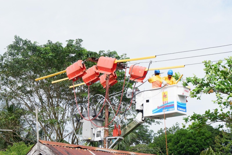 pln