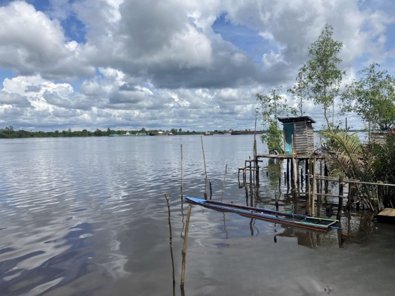 buaya