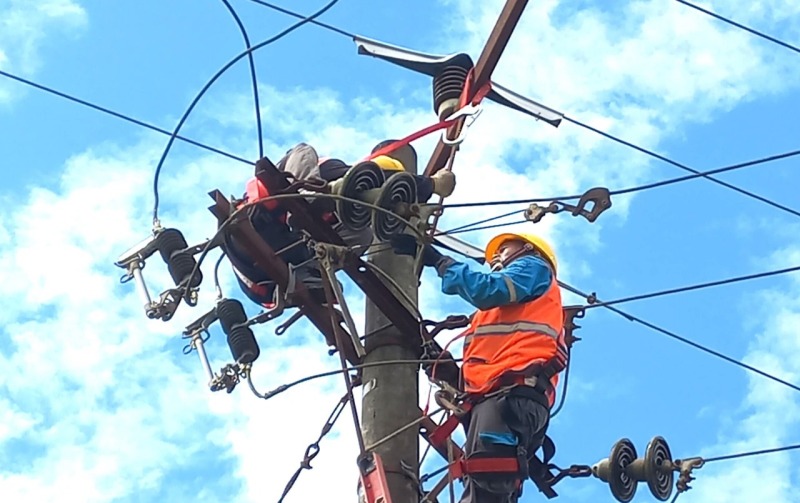 pln