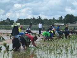 Antisipasi El Nino, Presiden Bagikan Pompa Air untuk Petani di Kotim