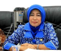 mudik