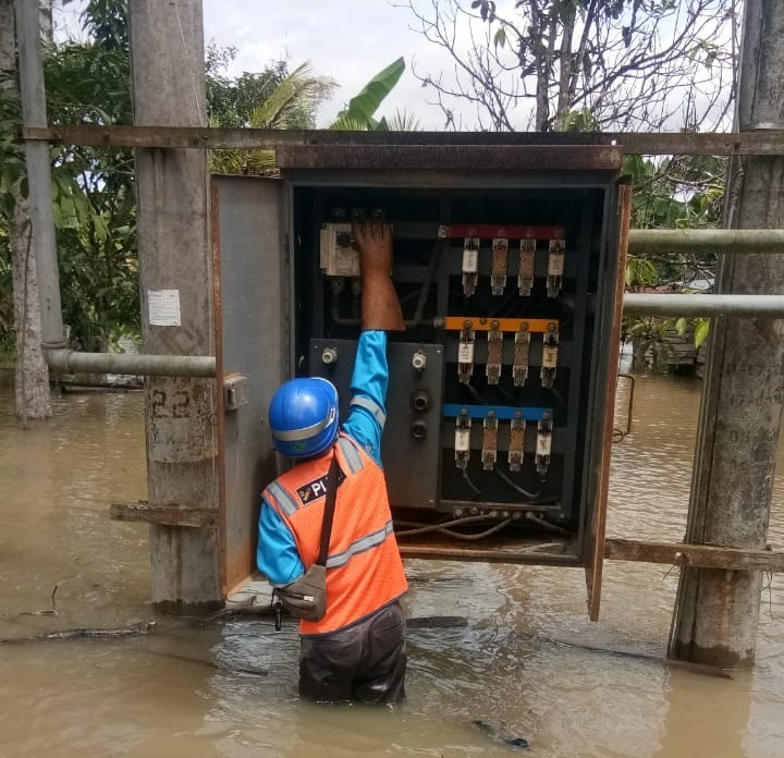 pln