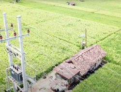 Sukses Menambah Pelanggan, Kunci Membaiknya Kinerja PLN 2023, Terbanyak dari Golongan Rumah Tangga
