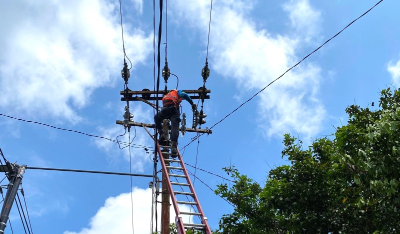 pln