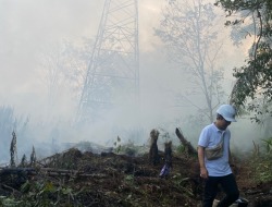 Tower Transmisi Dikepung Api, Petugas PLN dan BPBD Berjibaku Lakukan Pemadaman