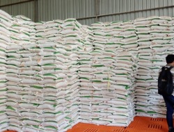 Kendalikan Harga, Bulog Salurkan Beras kepada 113.783 KK se-Kalteng